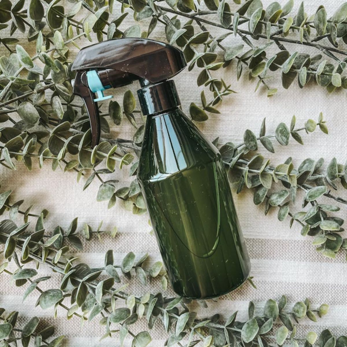homemade insect repellent in green spray bottle with eucalyptus leaves surrounding it