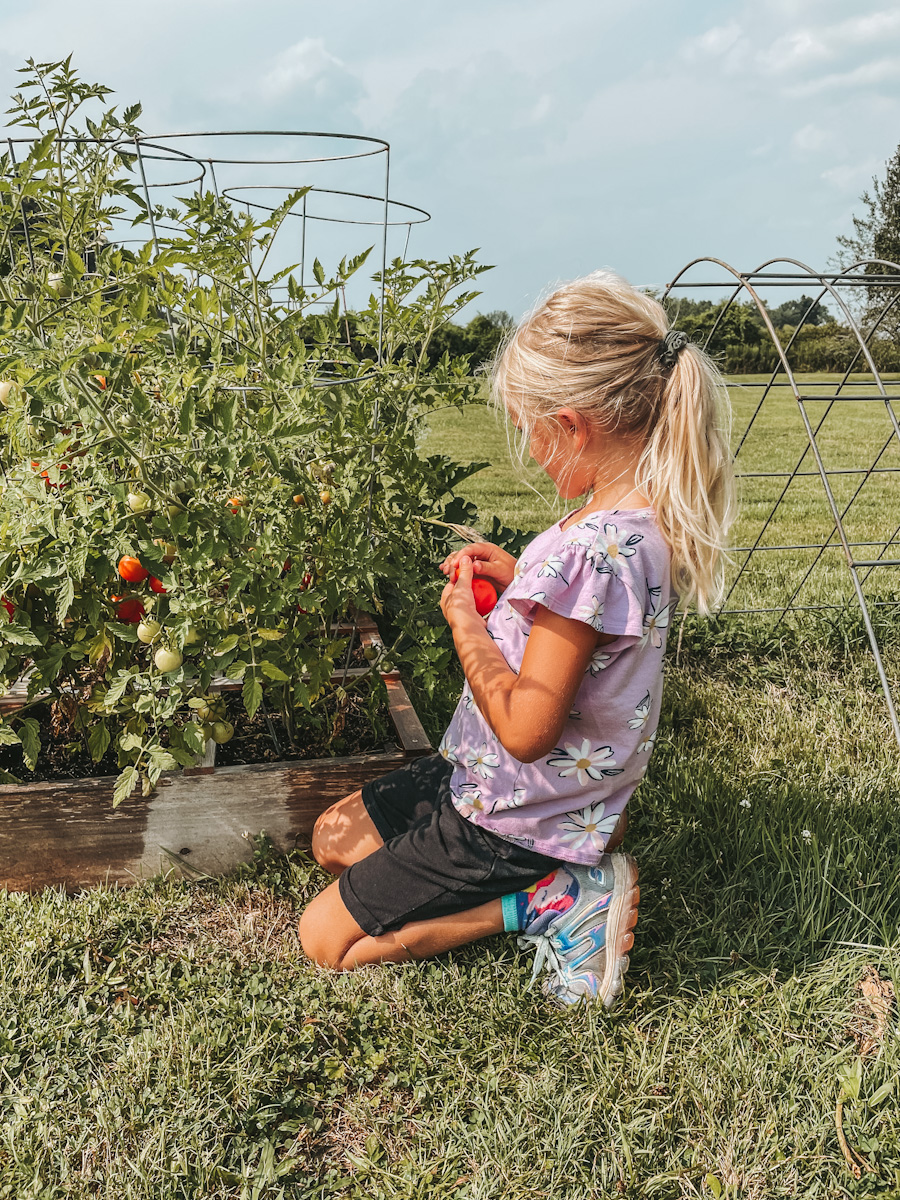 blonde girl kneeling down next to tomato plants