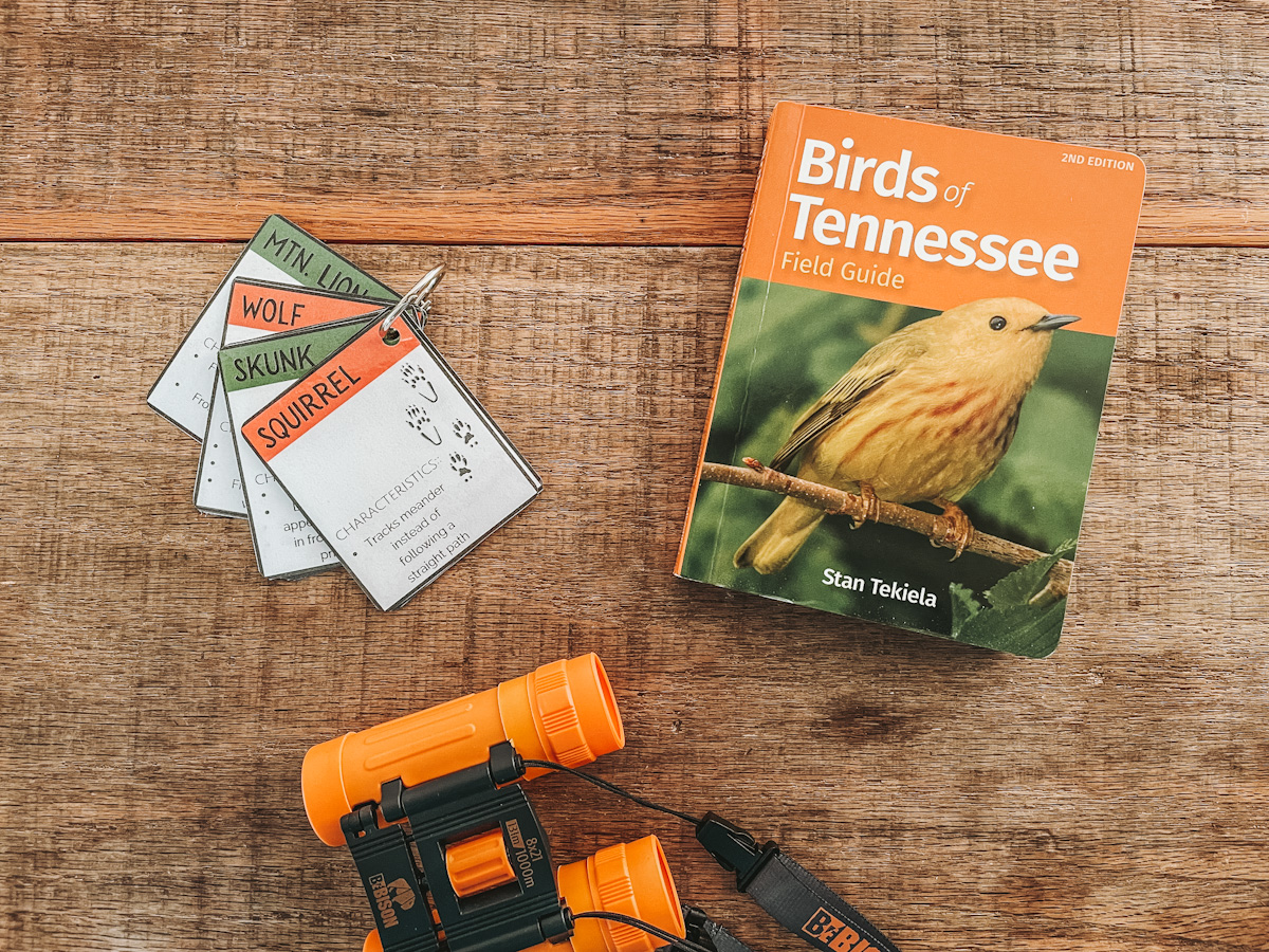animal track guide and birds of Tennessee field guide for an adventure kit